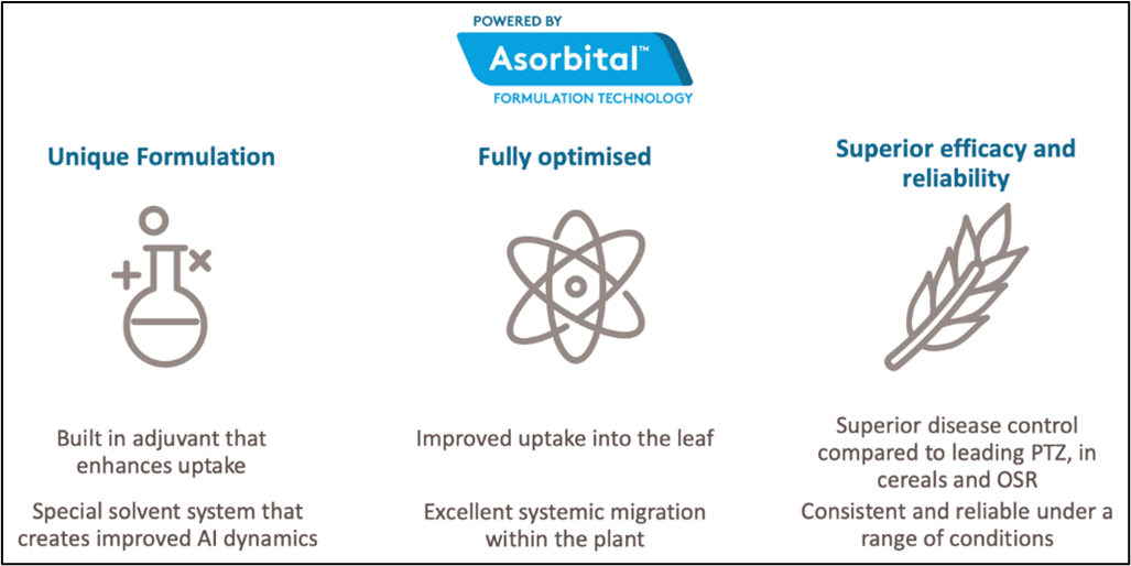 Focal Point Preview Image