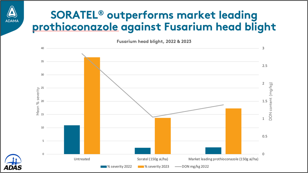 Focal Point Preview Image
