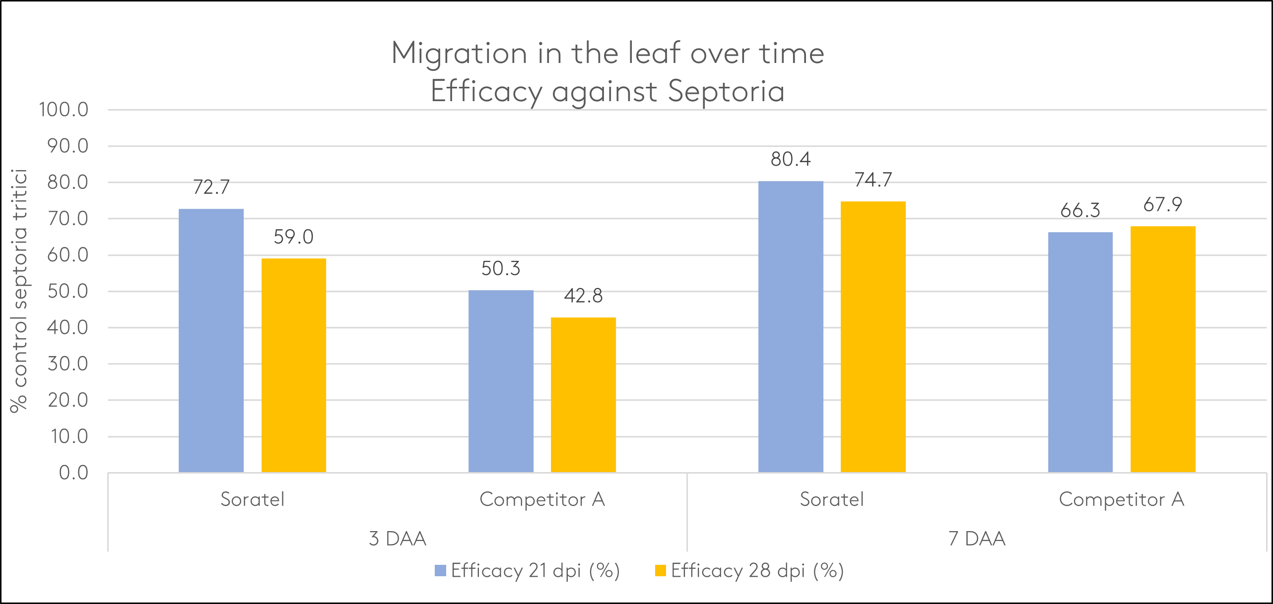 Focal Point Preview Image
