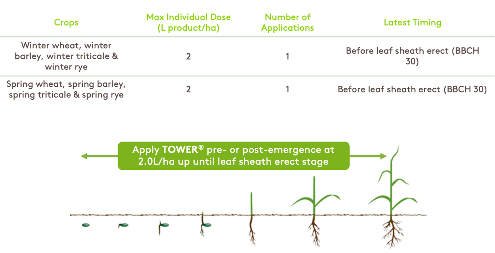 Focal Point Preview Image