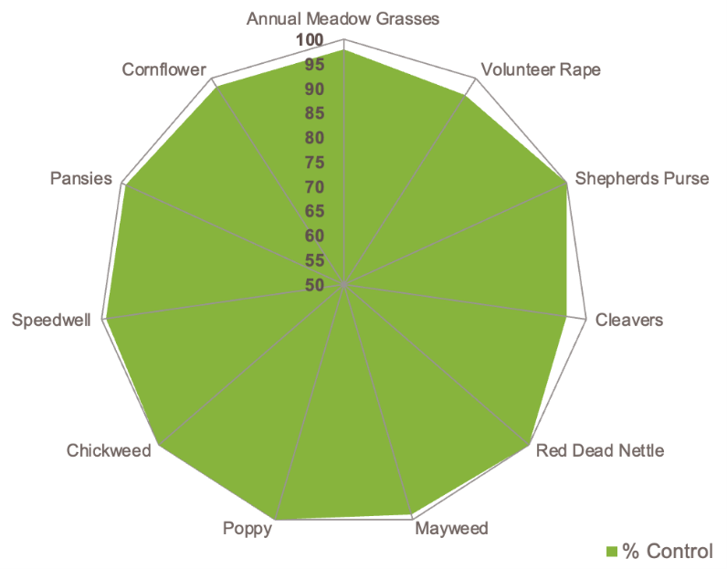 Focal Point Preview Image