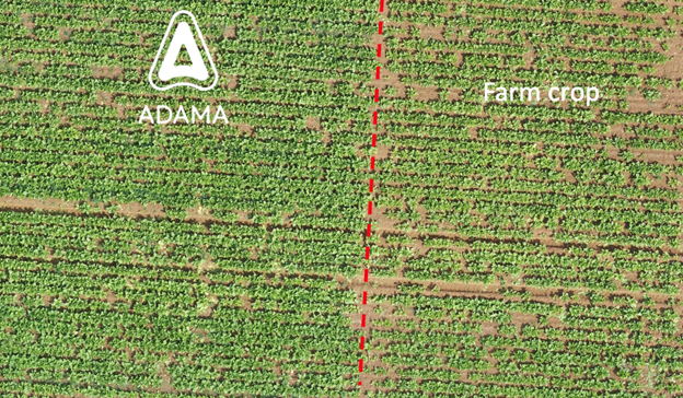 Focal Point Preview Image