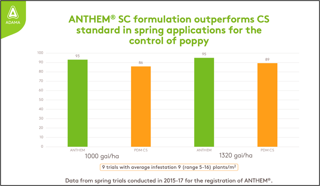 Focal Point Preview Image
