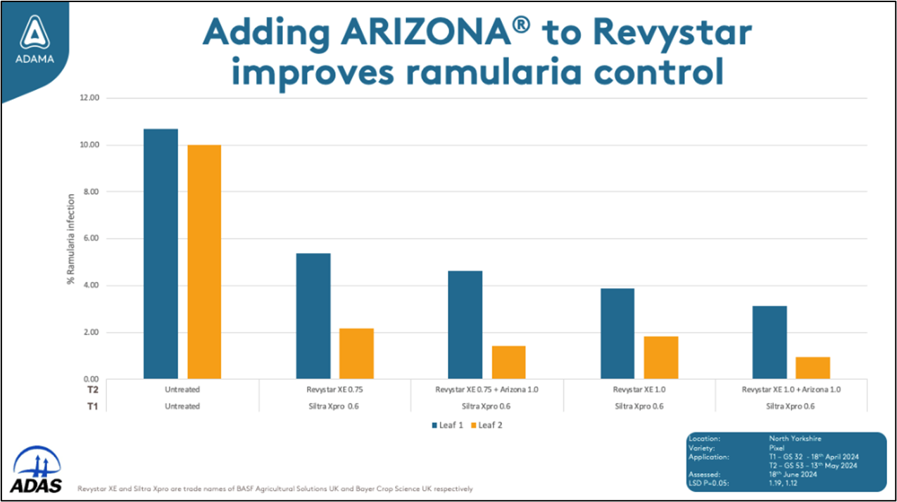 Focal Point Preview Image