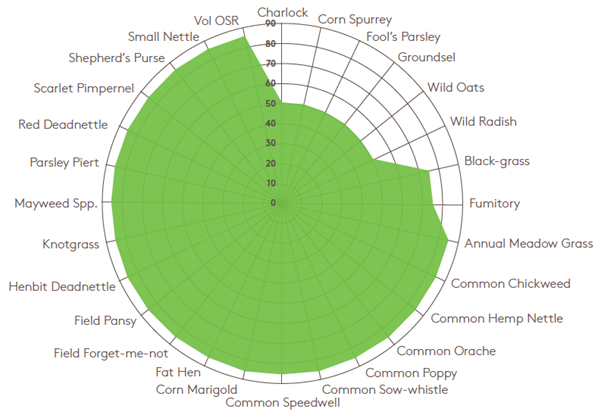 Focal Point Preview Image