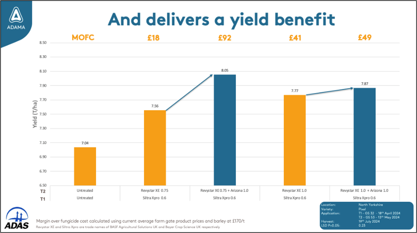 Focal Point Preview Image