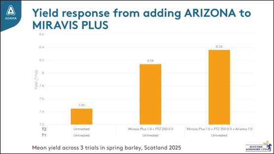Focal Point Preview Image