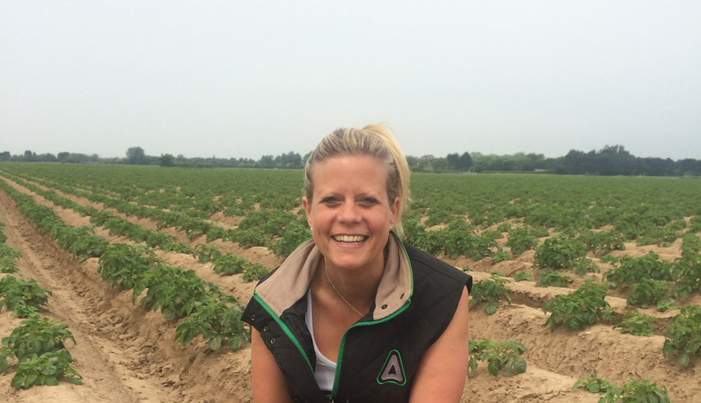 Ali Bosher in potato field