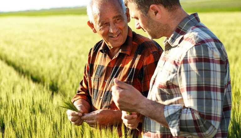Farmers in wheat field.png