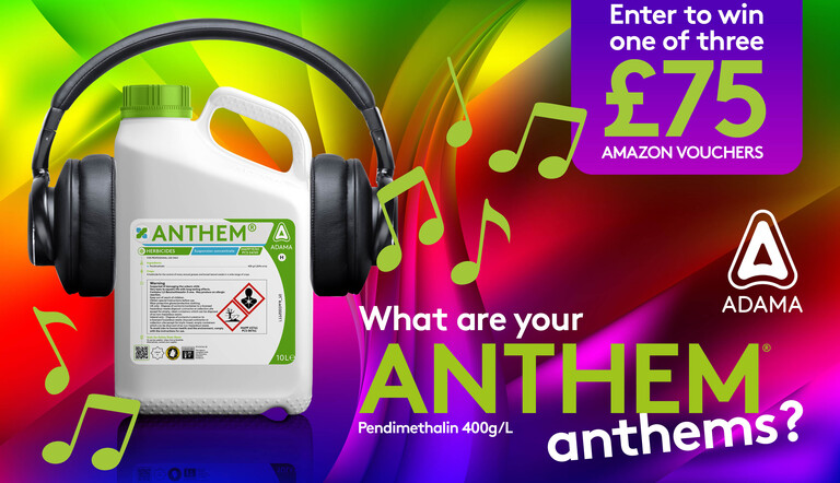 ANTHEM anthem's