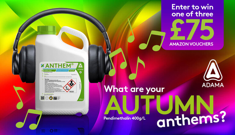 Autumn Anthems X Web Banner 1200x675