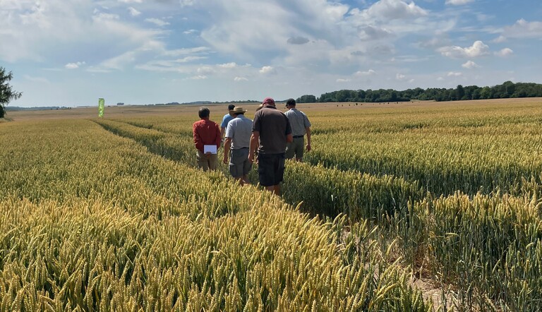 Walking away to trial site 