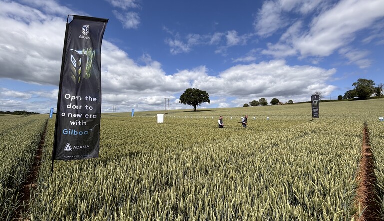 Open a door to Gilboa