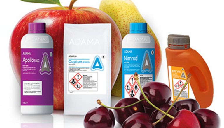 Fruit media image
