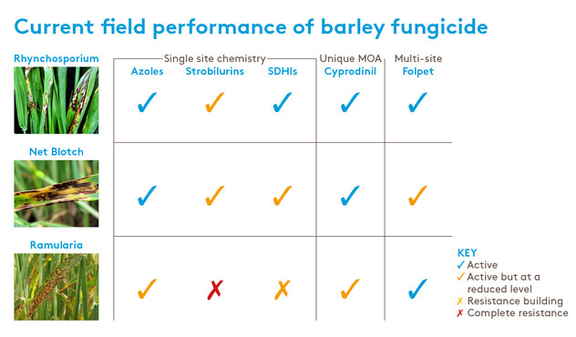 Barley fungicide field performance