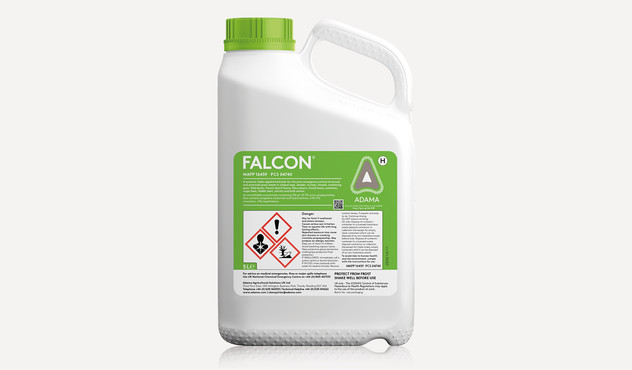 Falcon Falcon