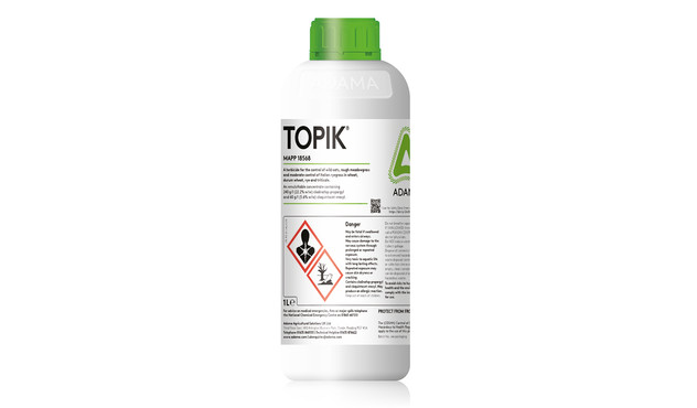 Topik Topik