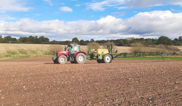 Wild oat application Wild oat application