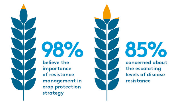 Accessing risk Arizona survey results