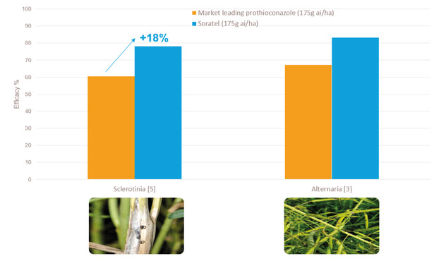 Soratel oilseed rape graph Soratel oilseed rape graph