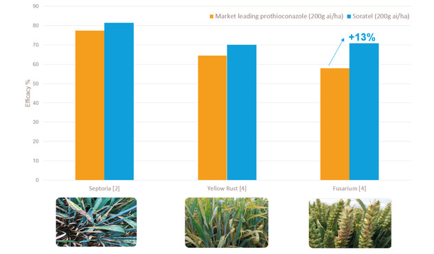 Soratel Wheat Graph Soratel Wheat Graph