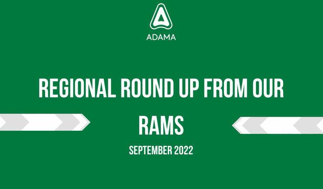 September RAM Round Up