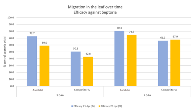 Migration in the leaf over time Efficacy against Septoria