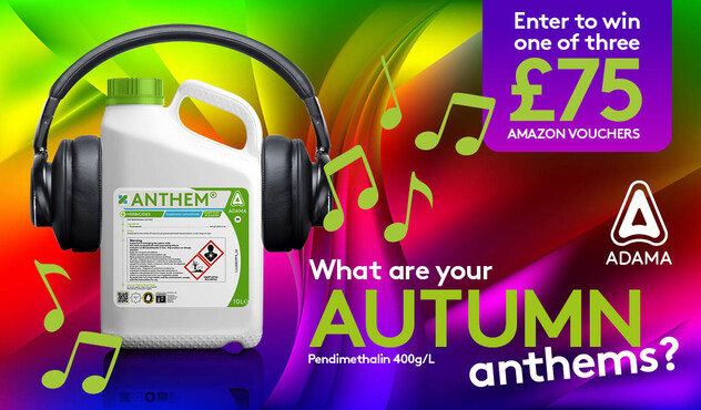 Autumn Anthems X Web Banner 1200x675