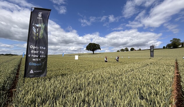 Open a door to Gilboa