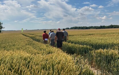 Walking away to trial site 