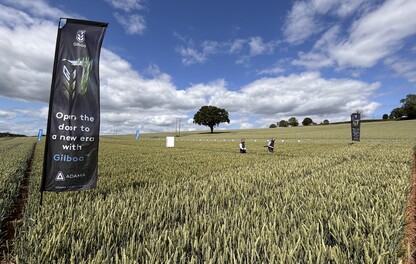 Open a door to Gilboa