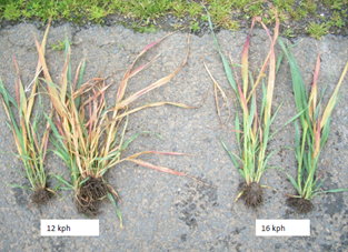 Spray Speed Comparison