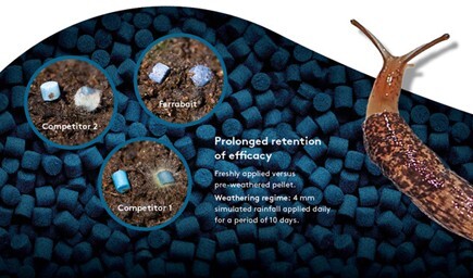 Prolonged retention of efficacy slug