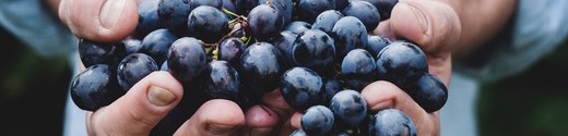 Hands Holding Grapes