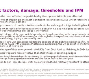 Saddle Gall Midge - Slide 3
