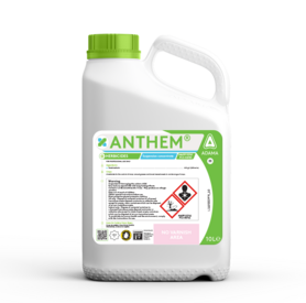 Focal Point Preview Image