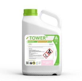 Focal Point Preview Image