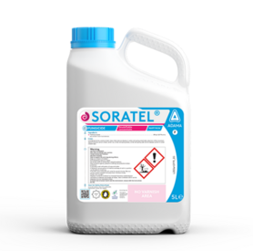 Focal Point Preview Image