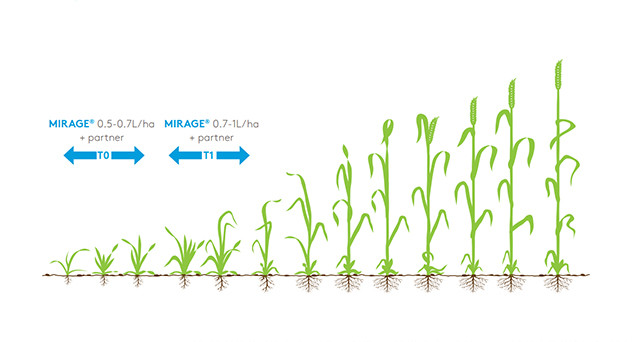 Mirage Crop Information