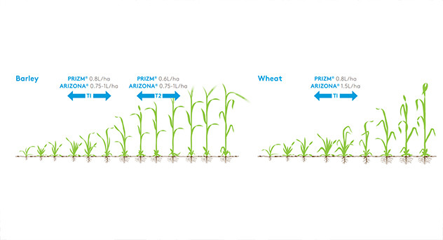 Prizm Crop Information