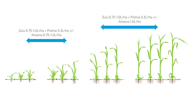 Zulu Crop Information