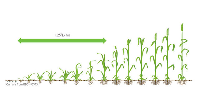 Cleave Growth Diagram