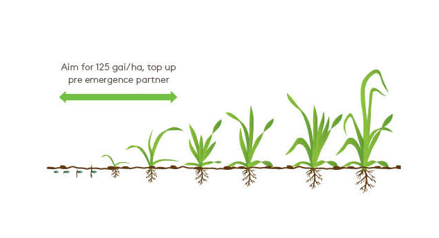 Hurricane Growth Diagram