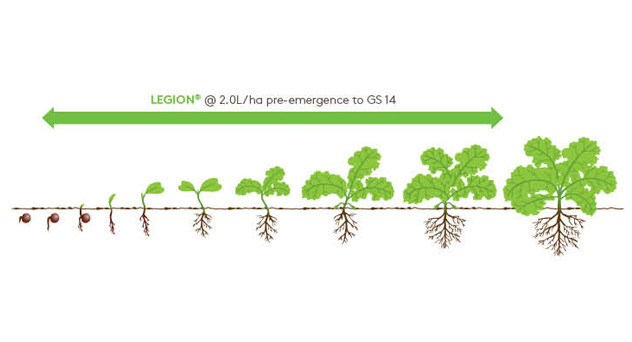 Legion Growth Diagram