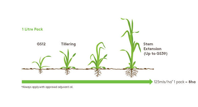 Topik Growth Diagram
