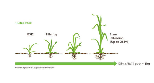 Viscount Growth Diagram