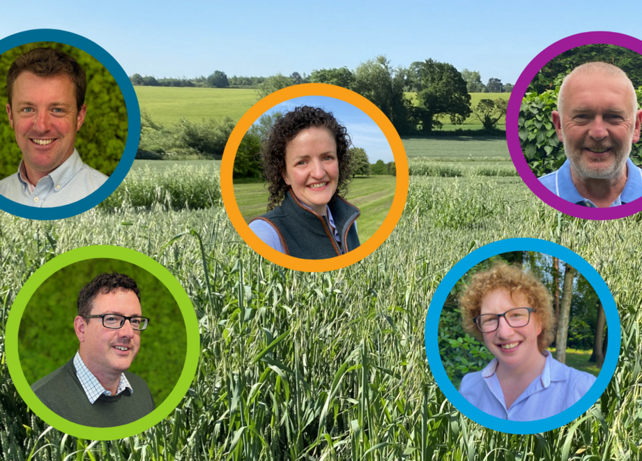 Agronomy team
