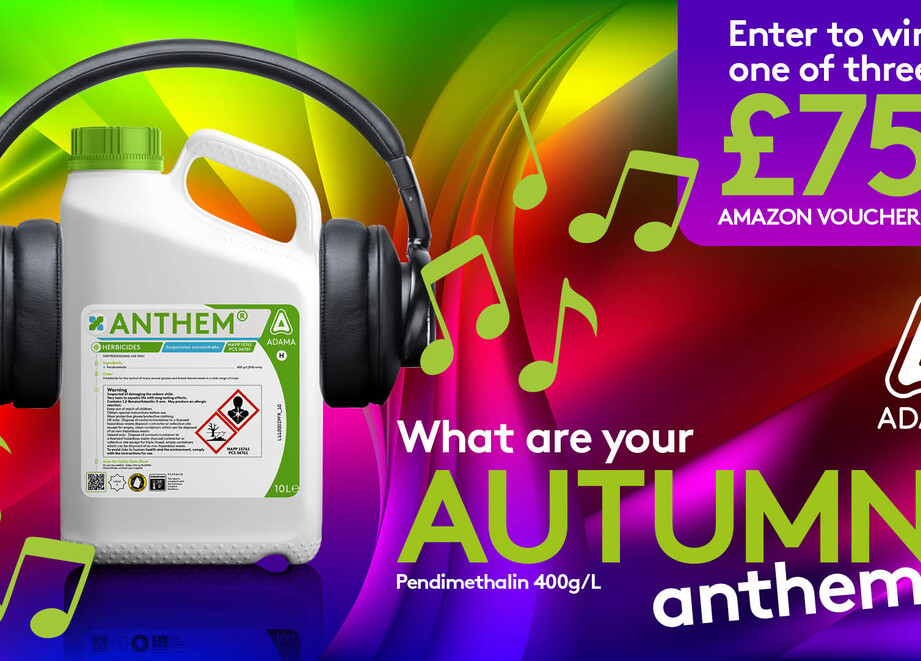Autumn Anthems web banner 1080x1920