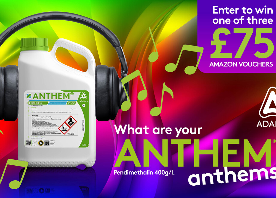 ANTHEM anthem's