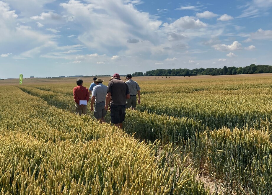 Walking away to trial site 